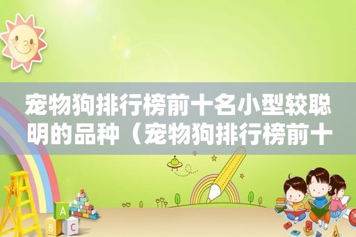 宠物狗排行榜前十名小型较聪明的品种（宠物狗排行榜前十名小型较聪明）