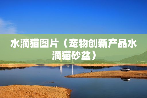 水滴猫图片（宠物创新产品水滴猫砂盆）