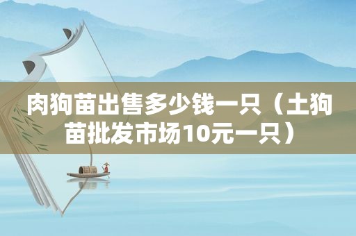 肉狗苗出售多少钱一只（土狗苗批发市场10元一只）