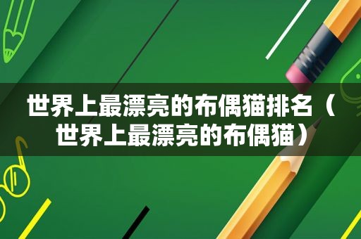 世界上最漂亮的布偶猫排名（世界上最漂亮的布偶猫）