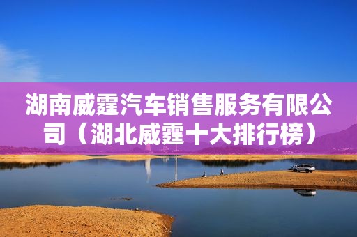 湖南威霆汽车销售服务有限公司（湖北威霆十大排行榜）