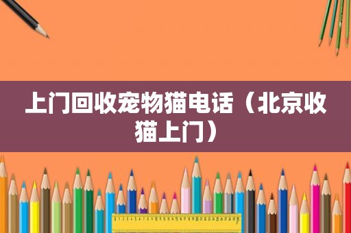 上门回收宠物猫电话（北京收猫上门）