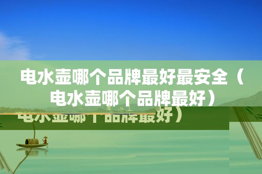 电水壶哪个品牌最好最安全（电水壶哪个品牌最好）