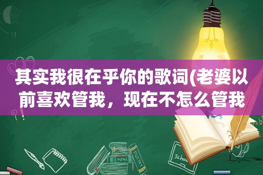 其实我很在乎你的歌词(老婆以前喜欢管我，现在不怎么管我了为什么)