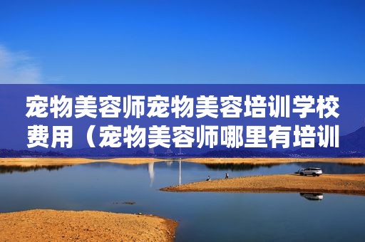 宠物美容师宠物美容培训学校费用（宠物美容师哪里有培训的地方）