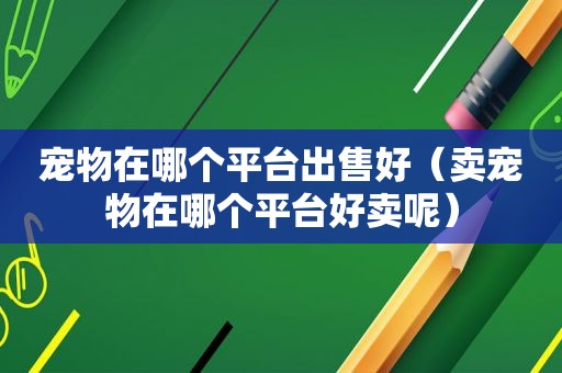 宠物在哪个平台出售好（卖宠物在哪个平台好卖呢）