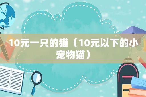 10元一只的猫（10元以下的小宠物猫）