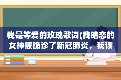 我是等爱的玫瑰歌词(我暗恋的女神被确诊了新冠肺炎，我该怎么办)