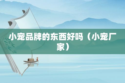 小宠品牌的东西好吗（小宠厂家）