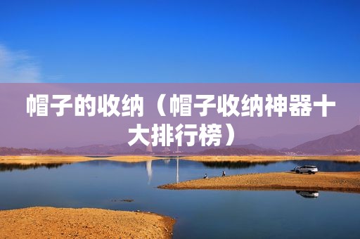 帽子的收纳（帽子收纳神器十大排行榜）