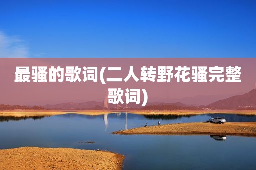 最骚的歌词(二人转野花骚完整歌词)