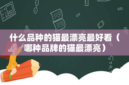 什么品种的猫最漂亮最好看（哪种品牌的猫最漂亮）