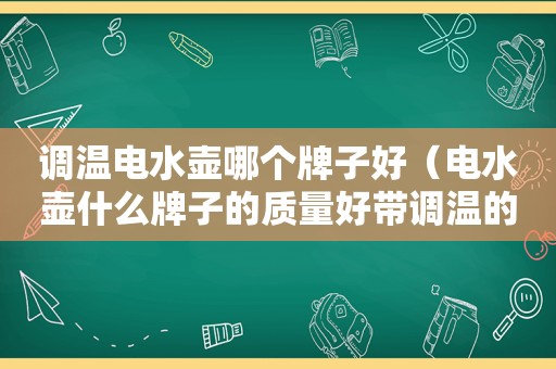 调温电水壶哪个牌子好（电水壶什么牌子的质量好带调温的）