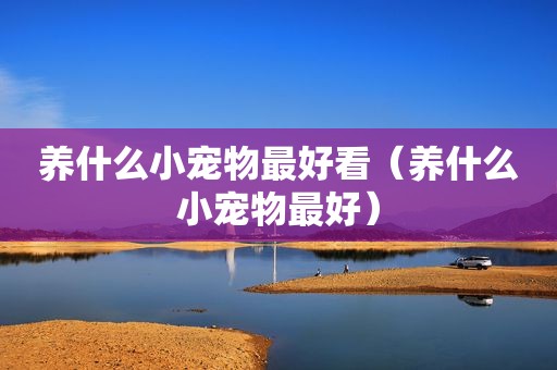 养什么小宠物最好看（养什么小宠物最好）