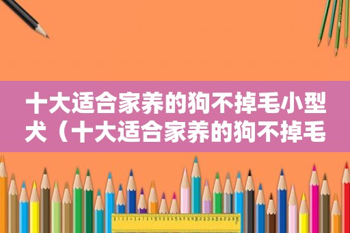 十大适合家养的狗不掉毛小型犬（十大适合家养的狗不掉毛）