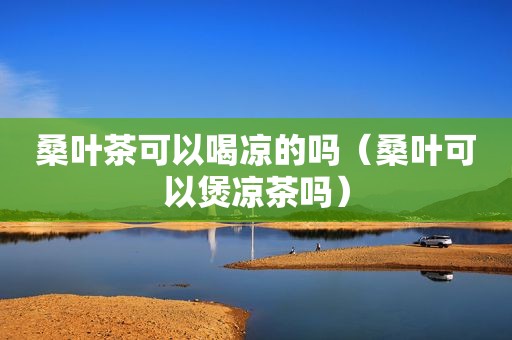 桑叶茶可以喝凉的吗（桑叶可以煲凉茶吗）