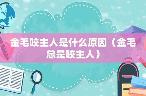 金毛咬主人是什么原因（金毛总是咬主人）