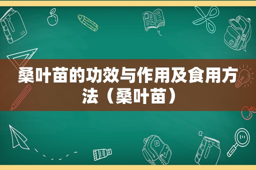 桑叶苗的功效与作用及食用方法（桑叶苗）