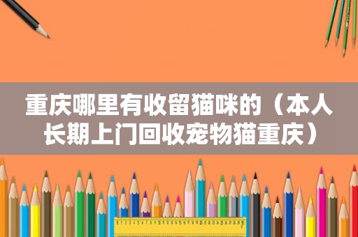 重庆哪里有收留猫咪的（本人长期上门回收宠物猫重庆）