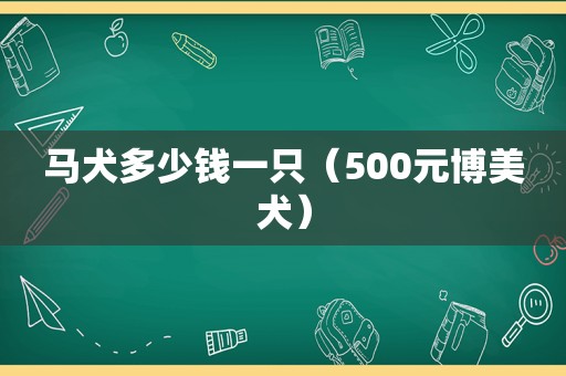 马犬多少钱一只（500元博美犬）