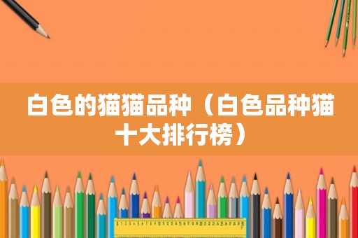 白色的猫猫品种（白色品种猫十大排行榜）