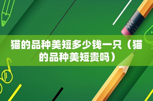 猫的品种美短多少钱一只（猫的品种美短贵吗）