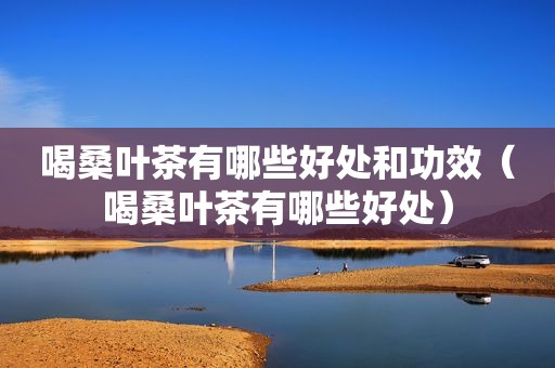 喝桑叶茶有哪些好处和功效（喝桑叶茶有哪些好处）
