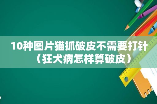 10种图片猫抓破皮不需要打针（狂犬病怎样算破皮）