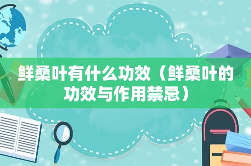 鲜桑叶有什么功效（鲜桑叶的功效与作用禁忌）