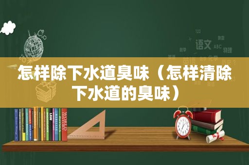 怎样除下水道臭味（怎样清除下水道的臭味）