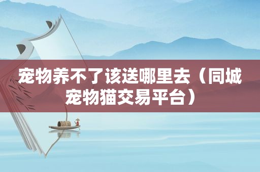 宠物养不了该送哪里去（同城宠物猫交易平台）