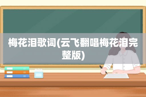 梅花泪歌词(云飞翻唱梅花泪完整版)
