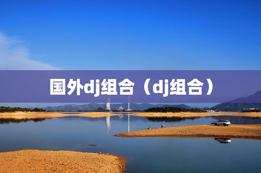 国外dj组合（dj组合）