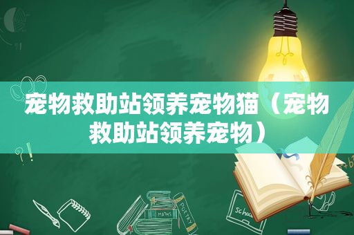 宠物救助站领养宠物猫（宠物救助站领养宠物）