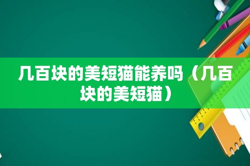 几百块的美短猫能养吗（几百块的美短猫）