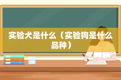 实验犬是什么（实验狗是什么品种）