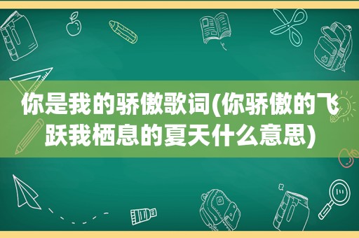 你是我的骄傲歌词(你骄傲的飞跃我栖息的夏天什么意思)