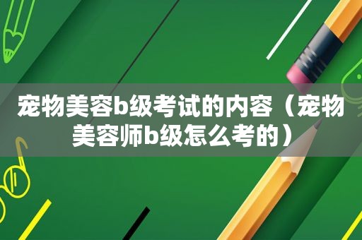 宠物美容b级考试的内容（宠物美容师b级怎么考的）