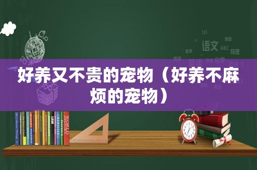 好养又不贵的宠物（好养不麻烦的宠物）