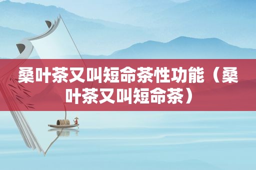 桑叶茶又叫短命茶性功能（桑叶茶又叫短命茶）