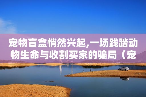 宠物盲盒悄然兴起,一场践踏动物生命与收割买家的骗局（宠物盲盒我们应该怎么做）