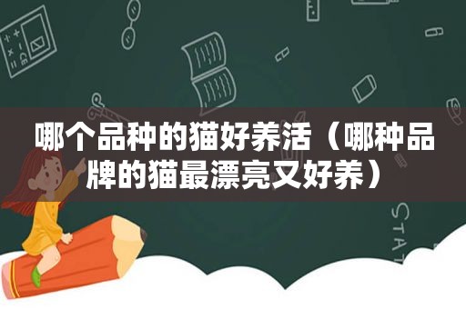 哪个品种的猫好养活（哪种品牌的猫最漂亮又好养）