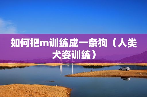 如何把m训练成一条狗（人类犬姿训练）