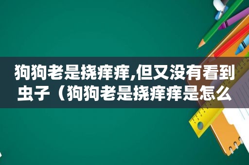 狗狗老是挠痒痒,但又没有看到虫子（狗狗老是挠痒痒是怎么回事）