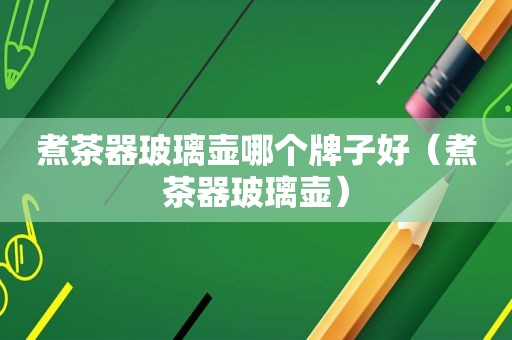 煮茶器玻璃壶哪个牌子好（煮茶器玻璃壶）