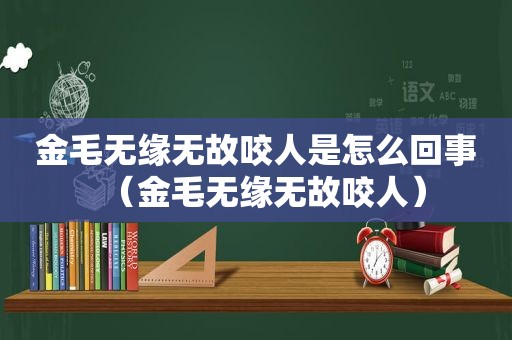 金毛无缘无故咬人是怎么回事（金毛无缘无故咬人）