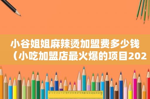 小谷姐姐麻辣烫加盟费多少钱（小吃加盟店最火爆的项目2023）
