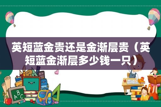 英短蓝金贵还是金渐层贵（英短蓝金渐层多少钱一只）