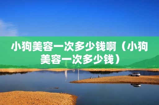 小狗美容一次多少钱啊（小狗美容一次多少钱）