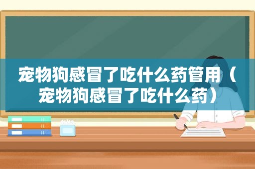 宠物狗感冒了吃什么药管用（宠物狗感冒了吃什么药）